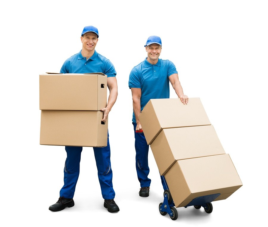 Two Movers in Michigan holding boxes