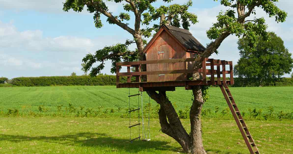 beautiful creative tree house 
